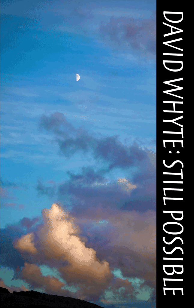 Still Possible (Paperback)