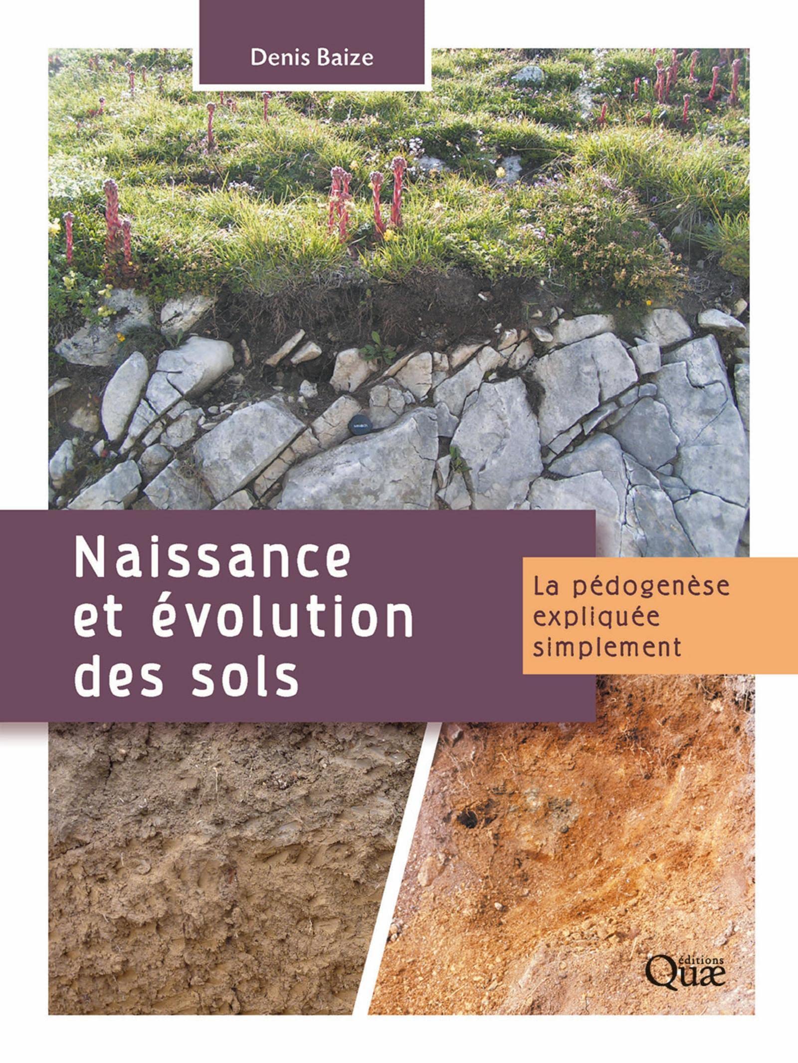 Naissance et évolution des sols : la pédogenèse expliquée simplement