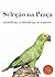 Seleção na Praça by Arthur Azevedo