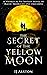 The Secret of the Yellow Moon: A Clean Adventure Fantasy With Traditional Values Set in a Magical World (The Secrets of Reminu Book 1)