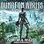 Dungeon Worlds (Reborn Online, #1)