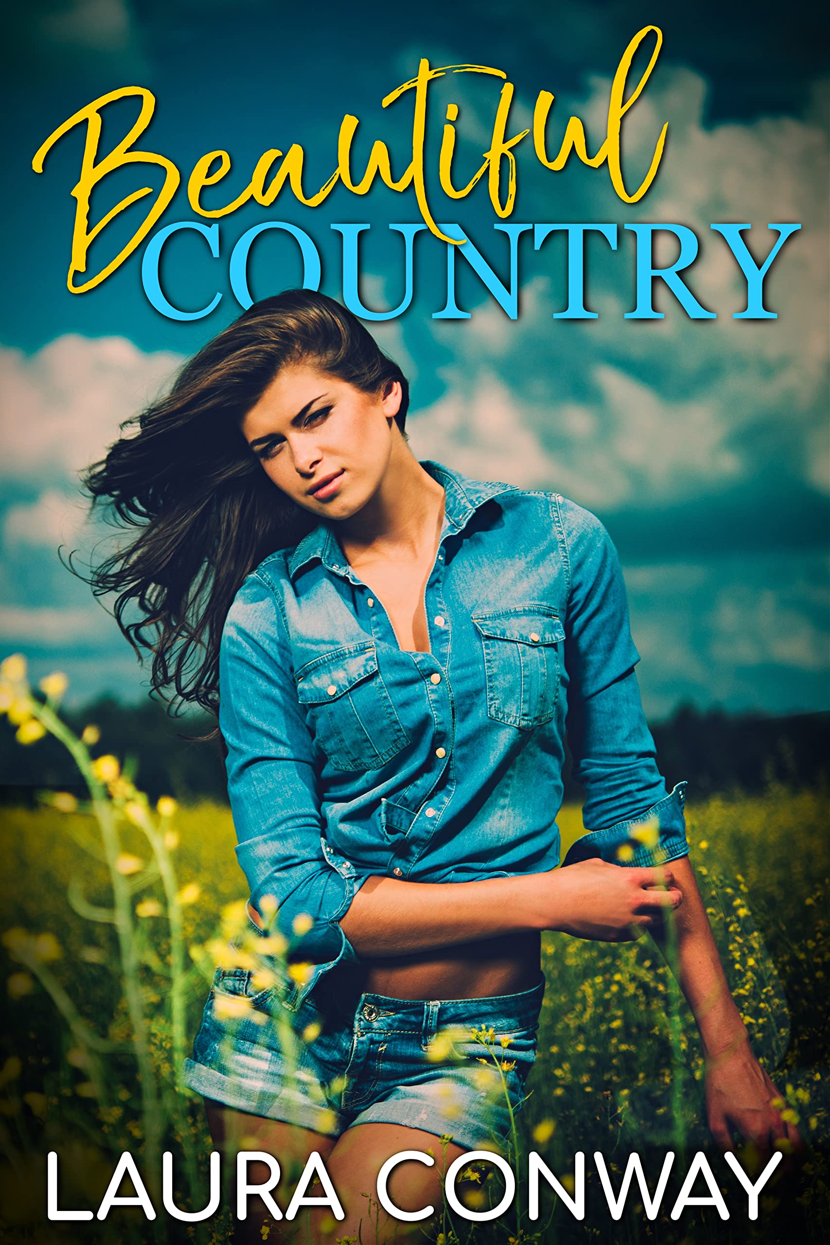 Beautiful Country (Kindle Edition)