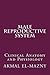 Male Reproductive System: Clinical Anatomy and Physiology