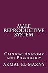 Male Reproductive System: Clinical Anatomy and Physiology