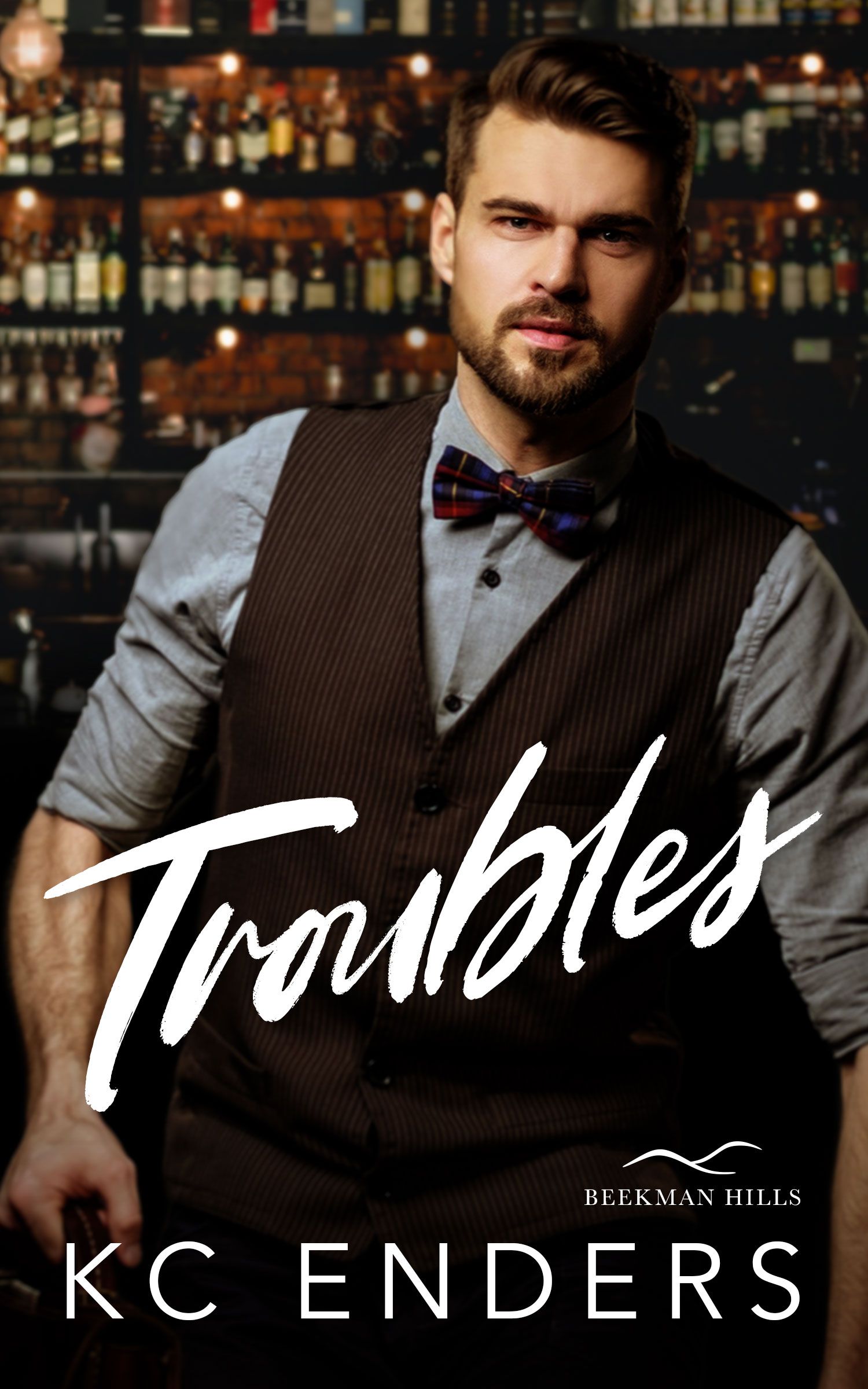 Troubles (Beekman Hills, #1)