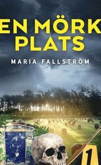 En mörk plats (Torbjörn Frisk, #4)