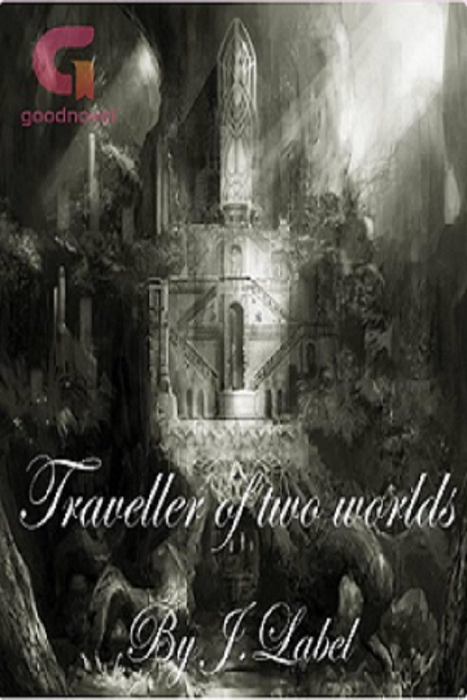 Traveller Of Two Worlds