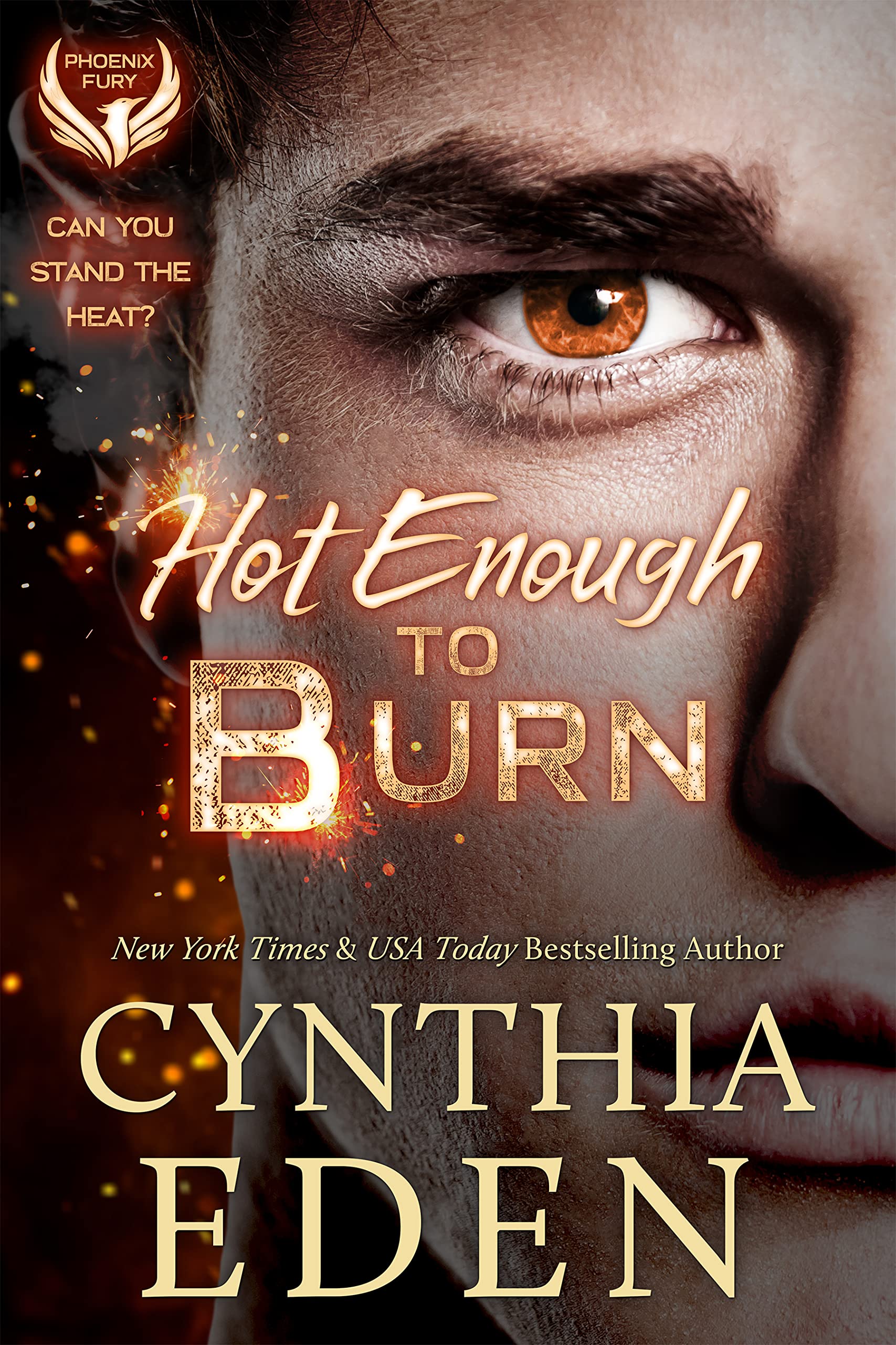 Hot Enough to Burn (Phoenix Fury, #1)