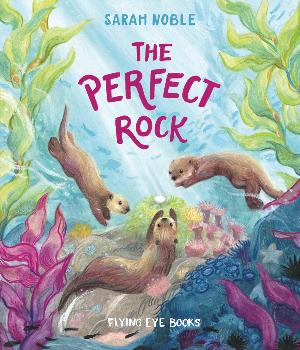 The Perfect Rock (Hardcover)