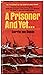 A Prisoner and Yet...