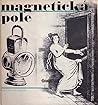 Magnetická pole by Jan Tomeš