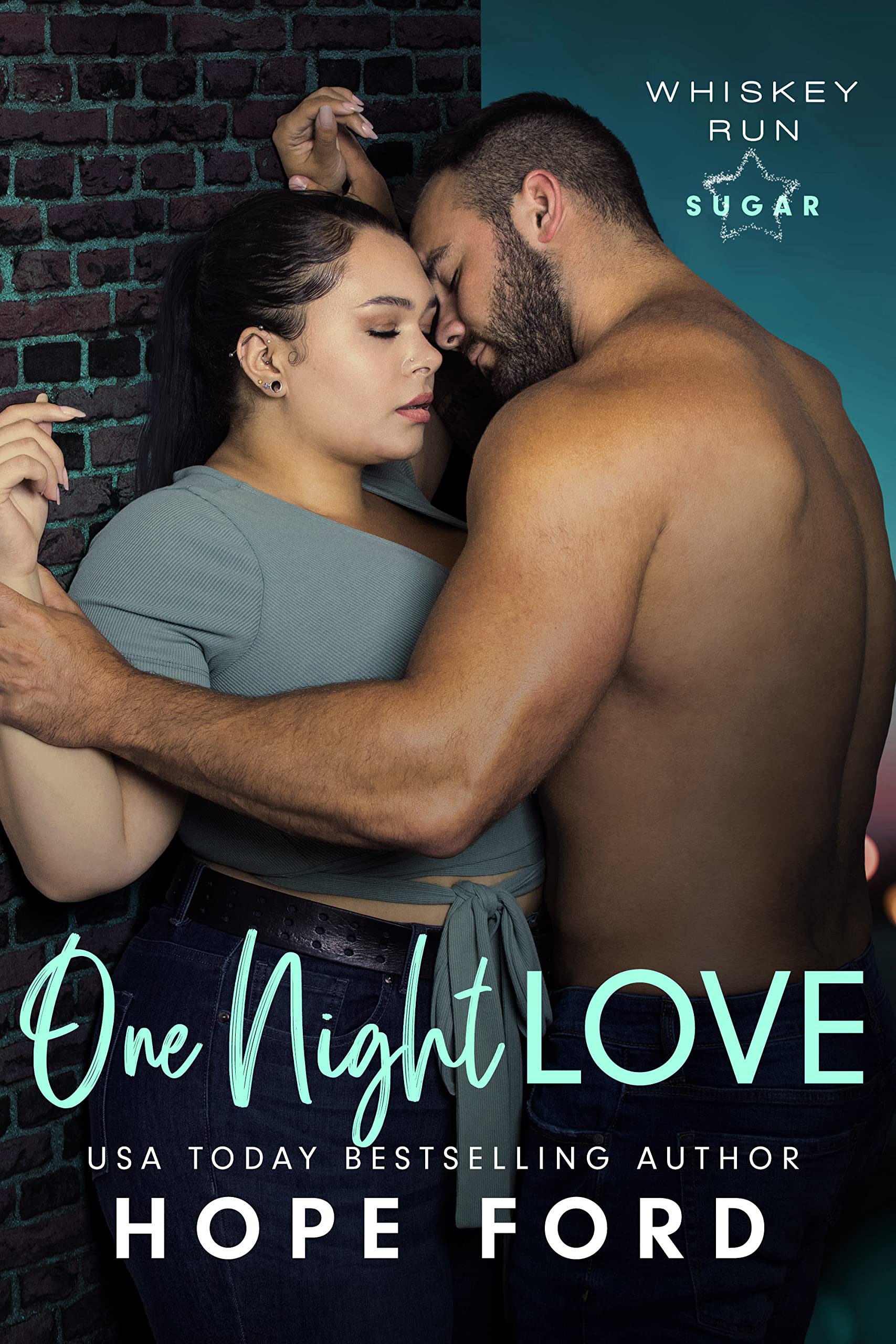 One Night Love (Whiskey Run: Sugar, #1)