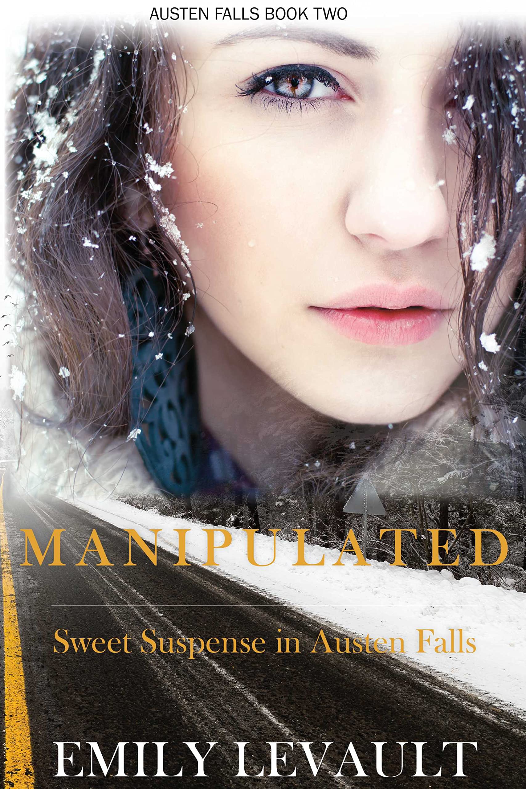 Manipulated (Austen Falls #2)