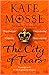 The City of Tears (The Burning Chambers, #2)