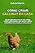 Cómo criar gallinas en casa...