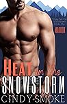 Heat in the Snowstorm: Maddox (Mountain Men & City Girls Romance, #2)
