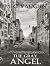 The Gray Angel by M.C. Vaughn