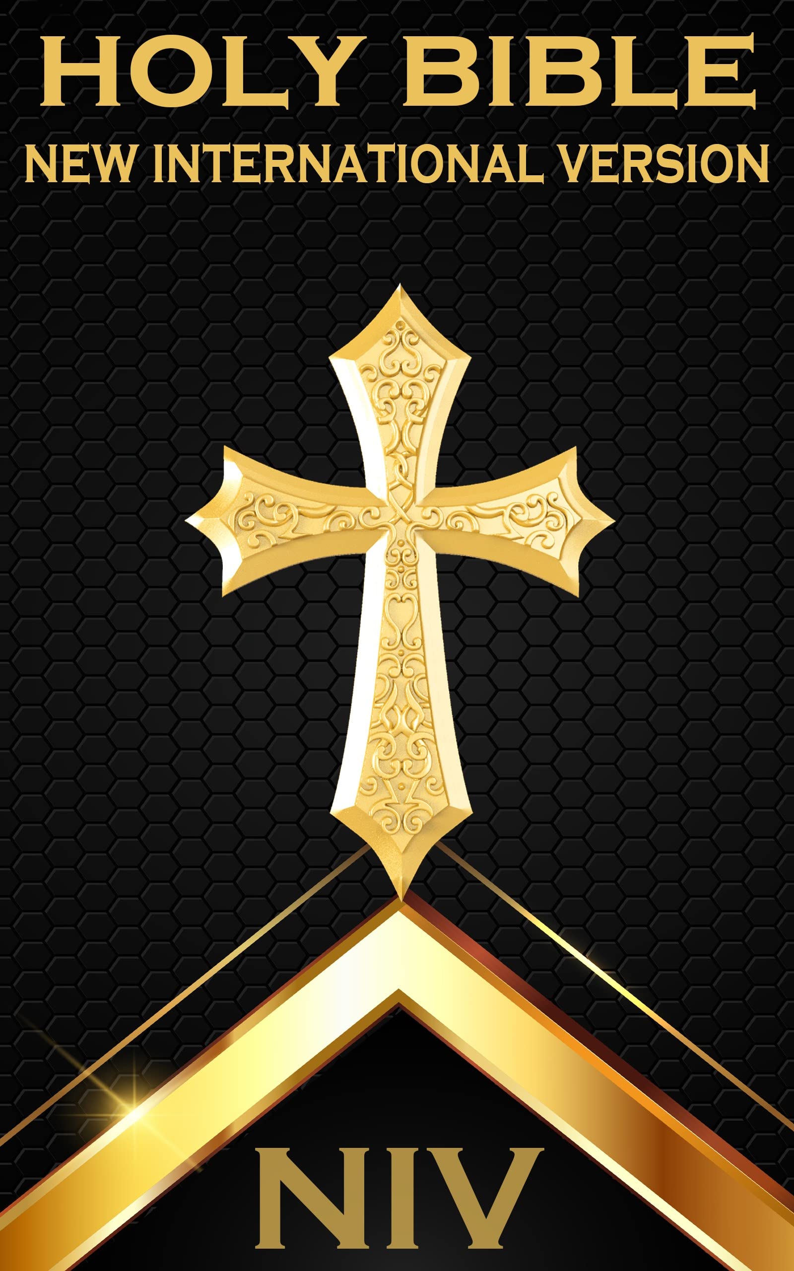 NIV Holy Bible