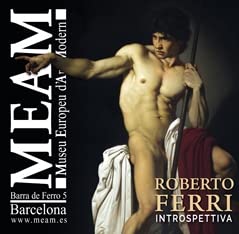 ROBERTO FERRI: INTROSPETTIVA (Paperback)