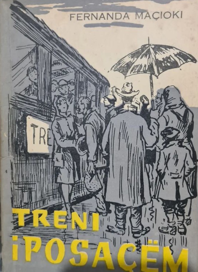 Treni i posaçëm : për fëmijët e moshës së re dhe të mesme shkollore