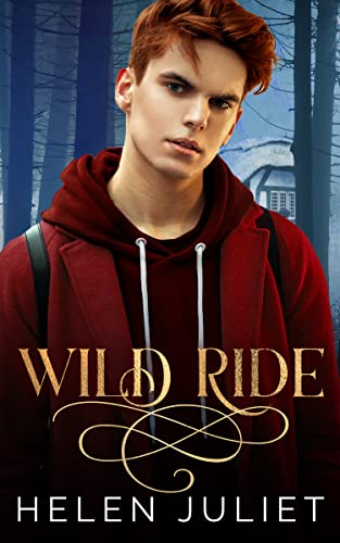 Wild Ride (Kindle Edition)