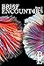 Brief Encounters Issue #8