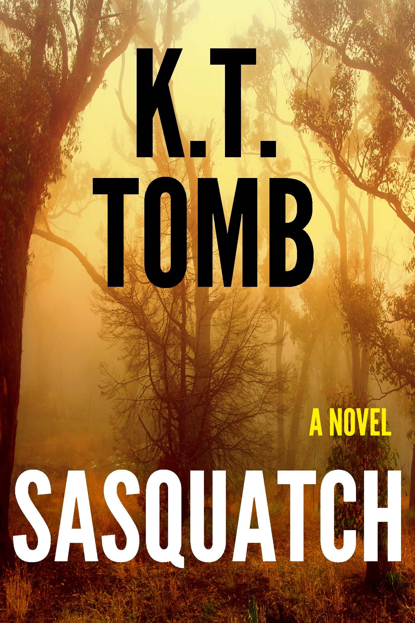 Sasquatch (Sasquatch, #1)