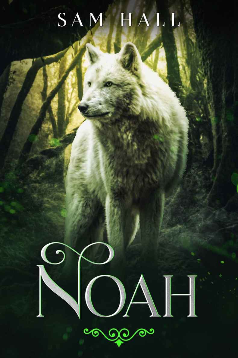 Noah (Pack Heat, #4.5)