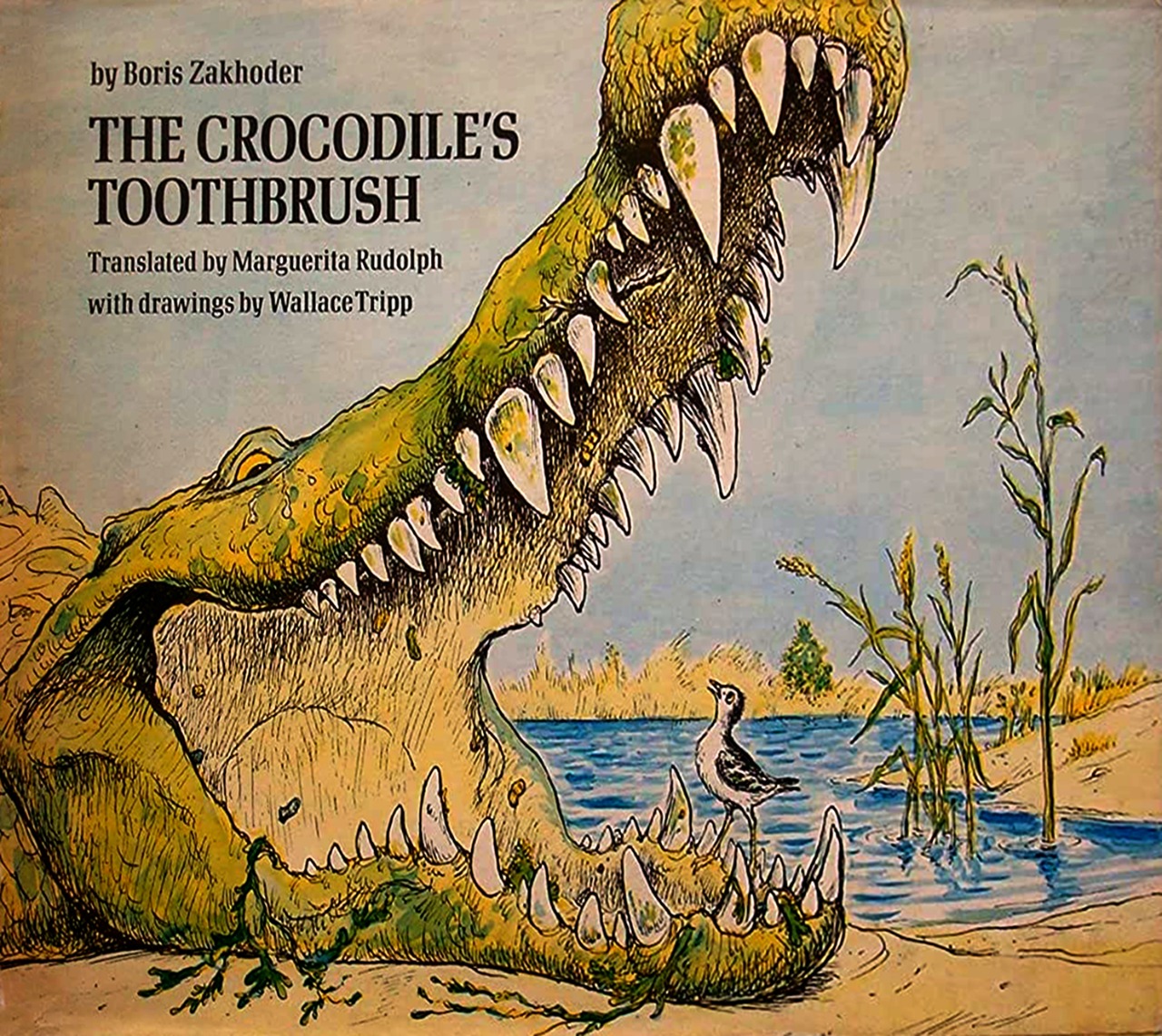 The Crocodile's Toothbrush