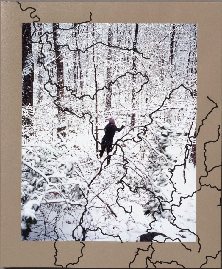 Laurel Mountain Laurel (Hardcover)