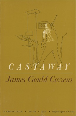 Castaway (Hardcover)