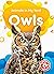 Owls (Animals in My Yard: Blastoff! Beginners)