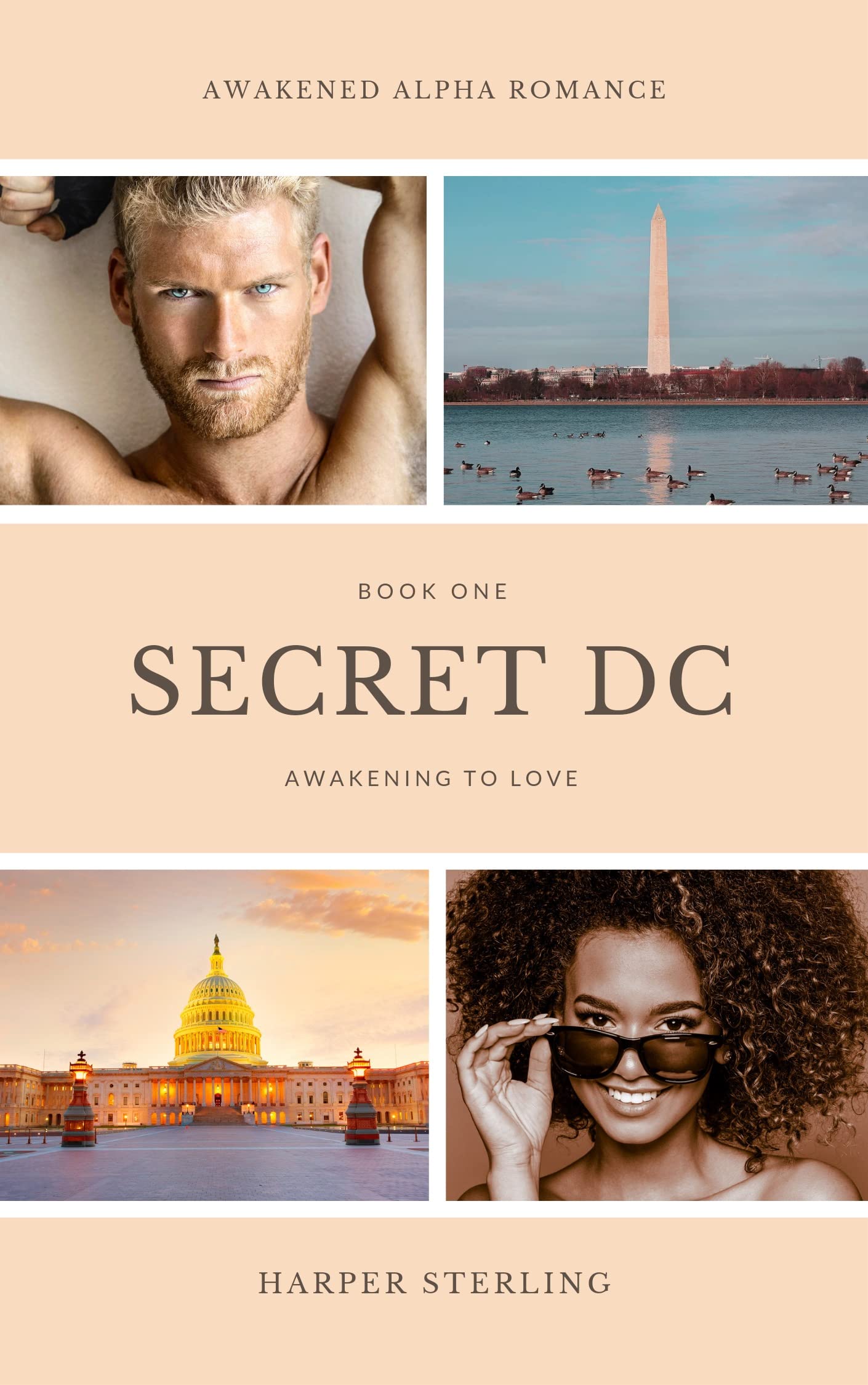 Secret DC: Book One: Awakening To Love (Awakened Alpha Romance 1)