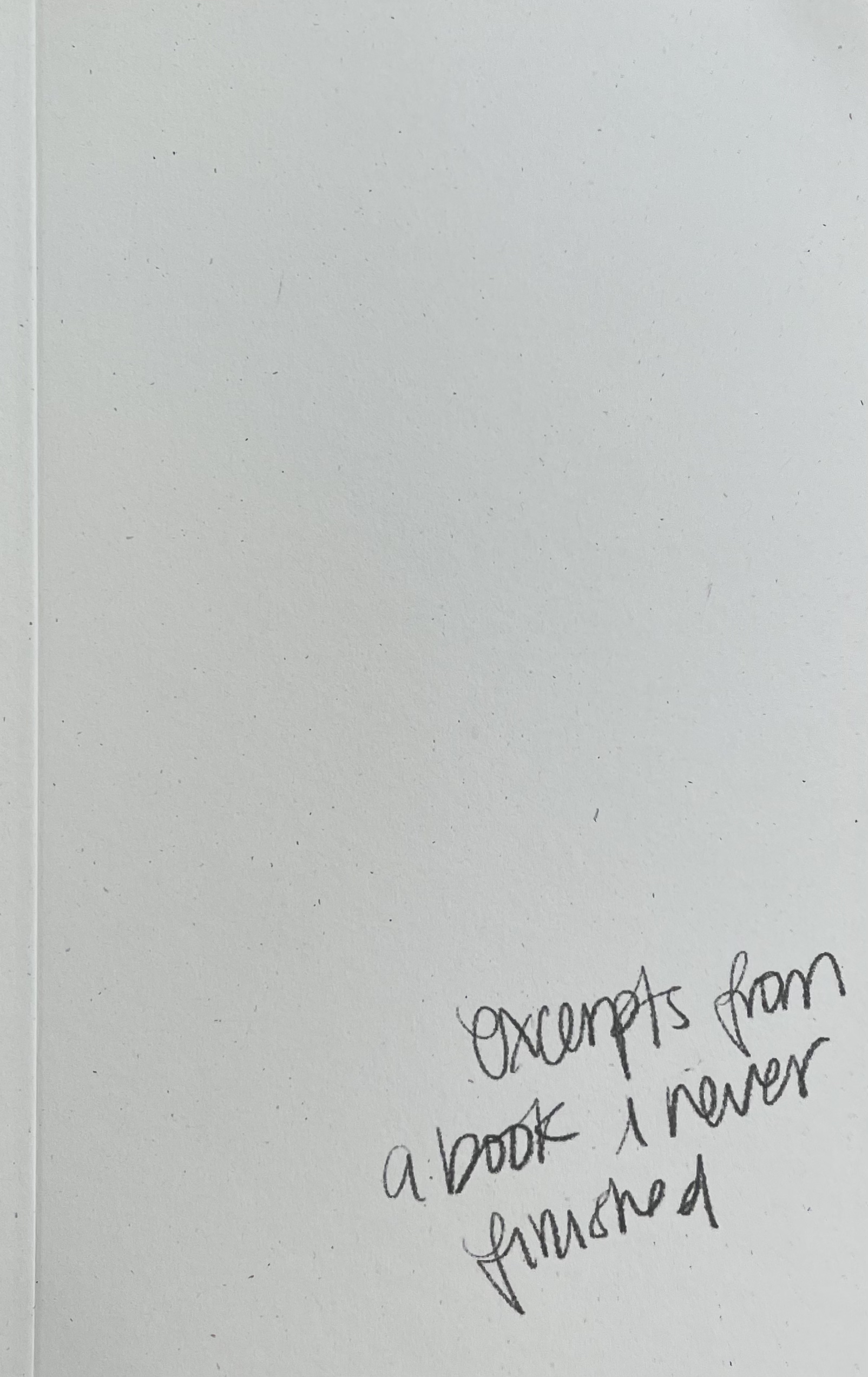 Excerpts from a Book I Never Finished
