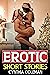 Erotic Short Stories: A Dir...