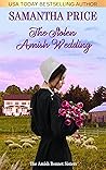 The Stolen Amish ...