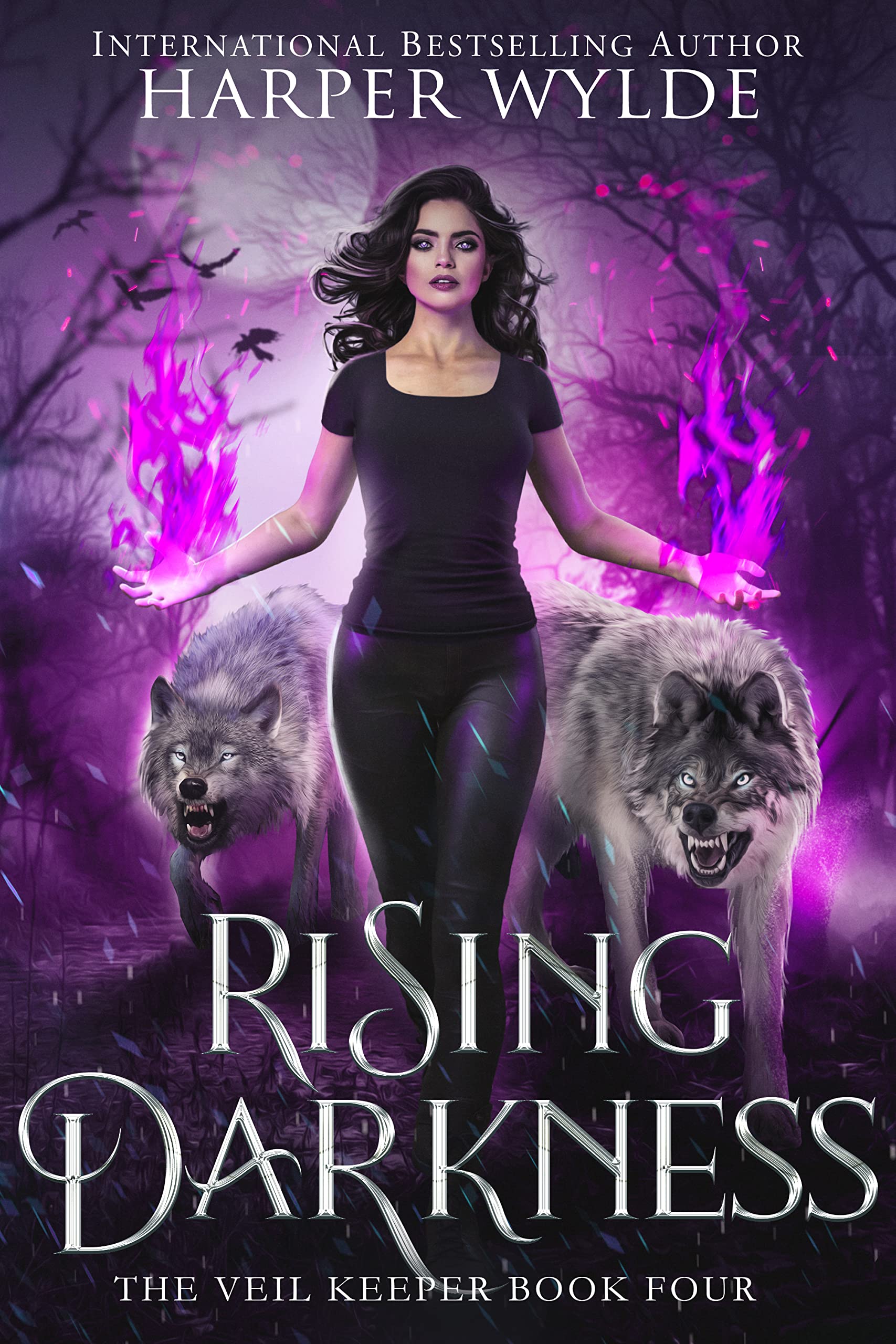 Rising Darkness (The Veil Keeper, #4)