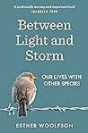Between Light and...