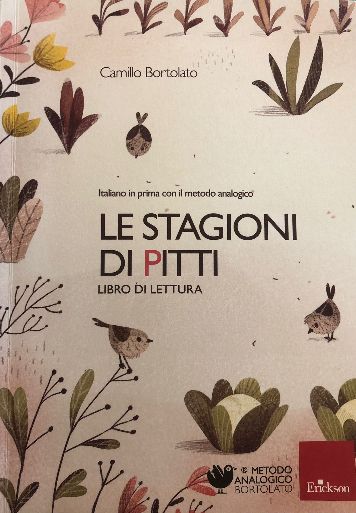 Le Stagioni dei Pitti (Paperback)