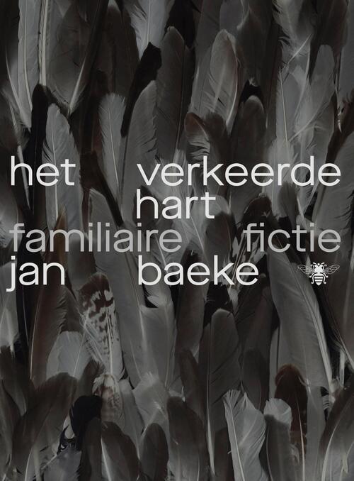 Het verkeerde hart. Familiaire fictie (Paperback)