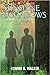 Sunshine & Shadows by Connie A Walker