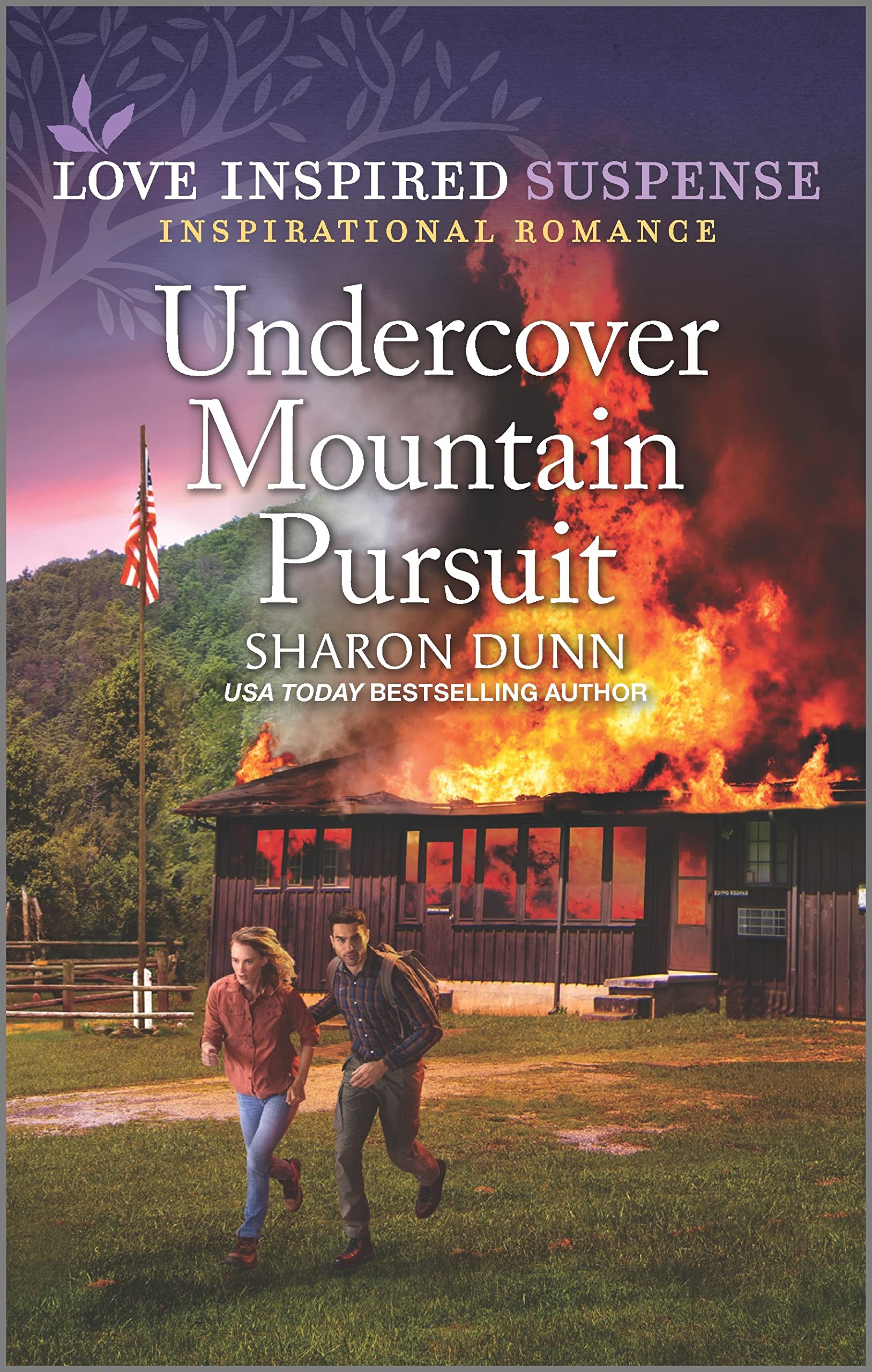 Undercover Mountain Pursuit (Kindle Edition)