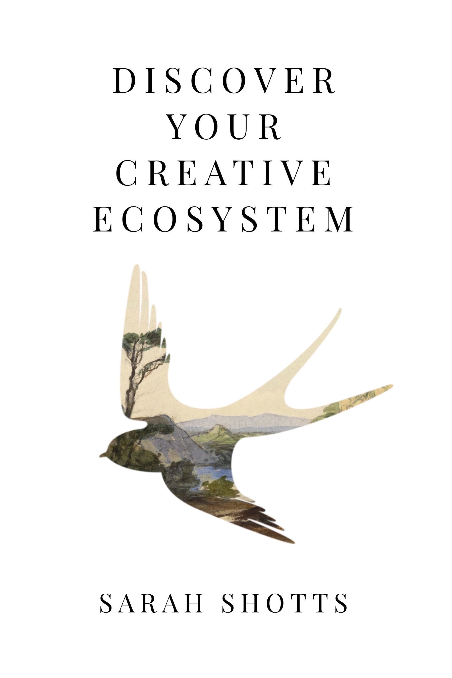 Discover Your Creative Ecosystem