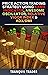 Price Action Trading Strategy using KAMA Indicator, Awesome Oscillator, Relative Vigor Index & ADX/DMI