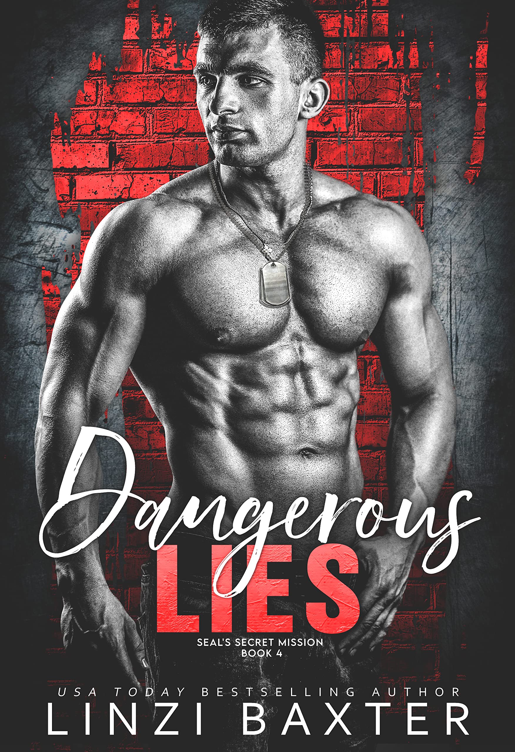 Dangerous Lies (SEAL’s Secret Mission #4)