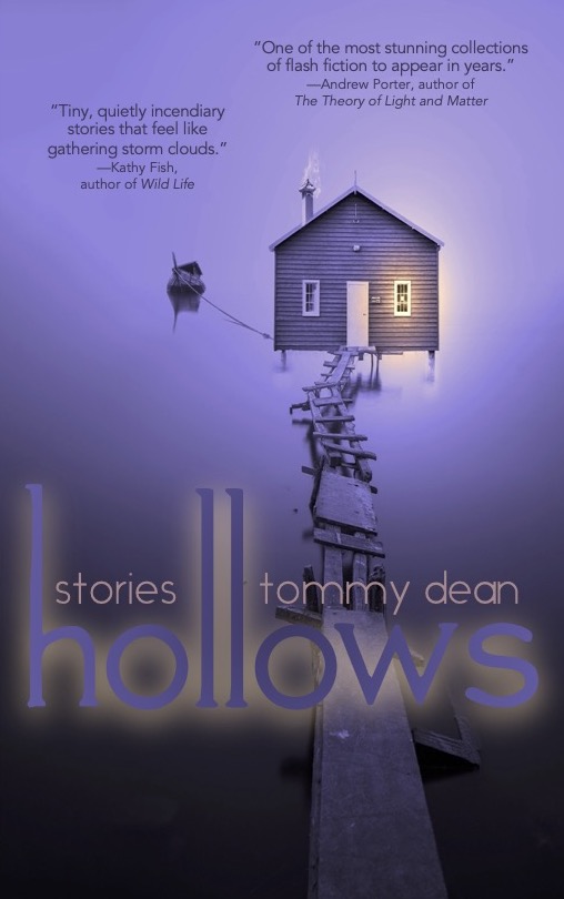 Hollows (Paperback)