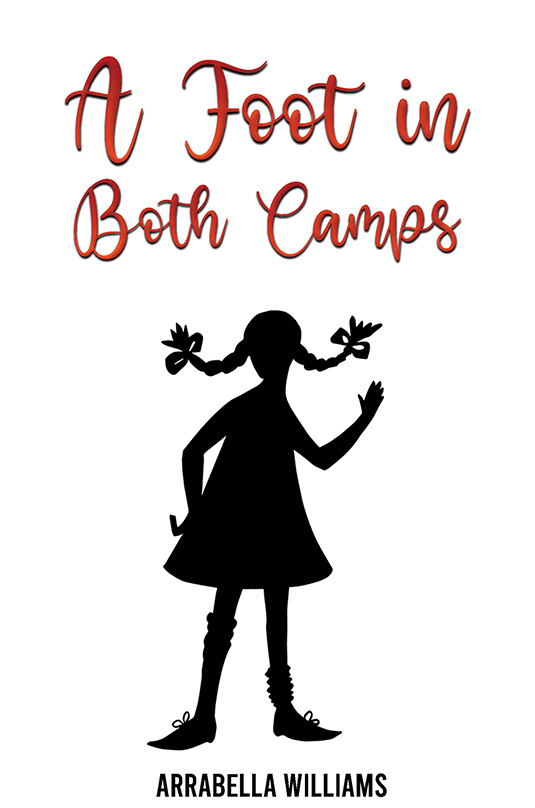 A Foot in Both Camps (Paperback)