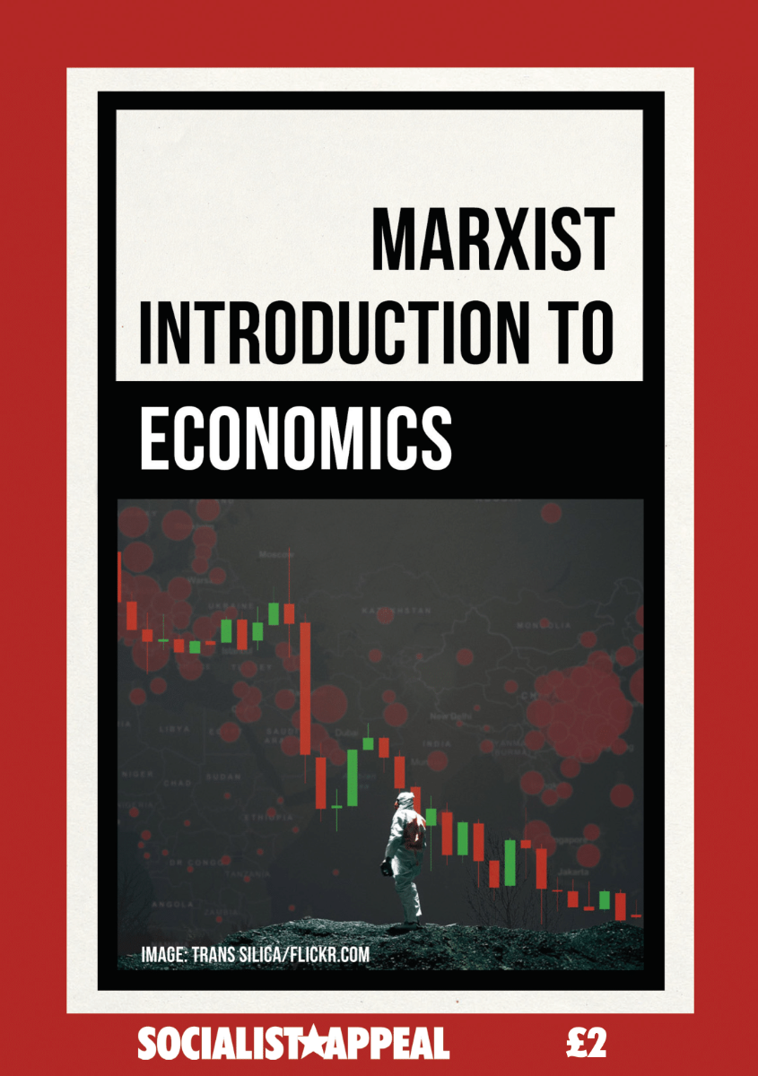 Marxist Introduction to Economics