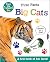 First Facts Big Cats (Move Turn Learn (Turn-the-Wheel Books))