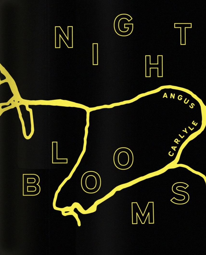 Night Blooms